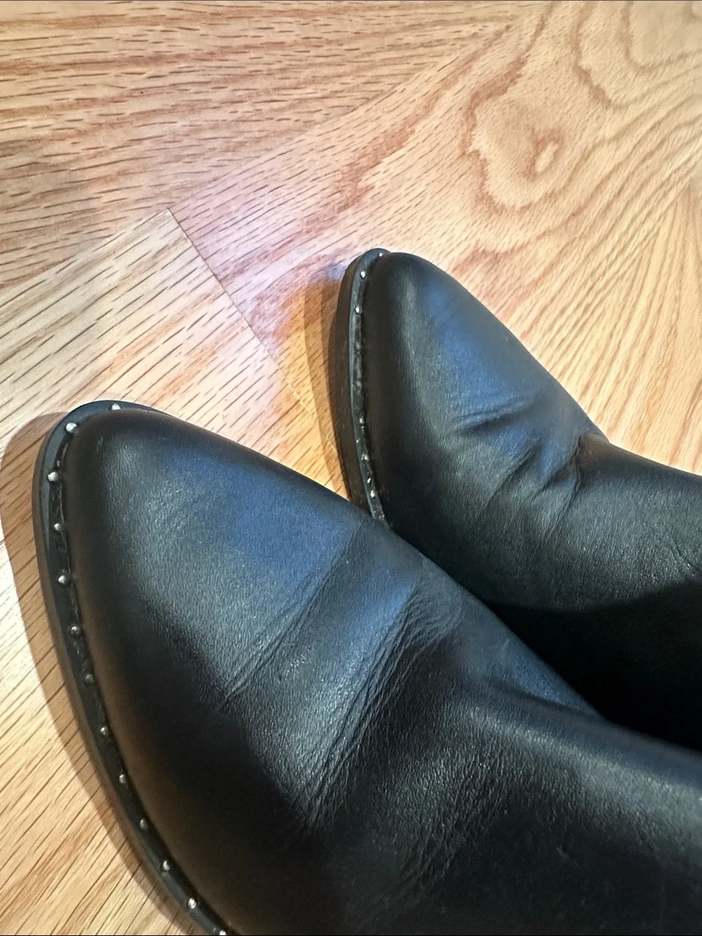 Treasure & Bond Black Pointed Toe Ankle Booties with Block Heel
